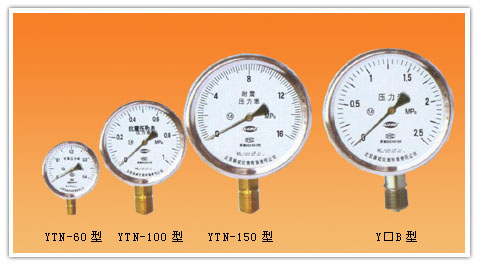 YTN系列耐震壓力表系列不銹鋼壓力表